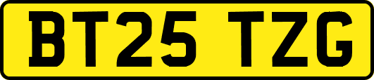 BT25TZG