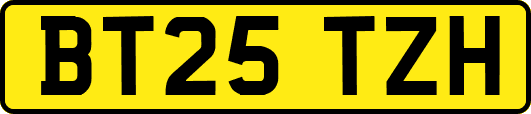 BT25TZH