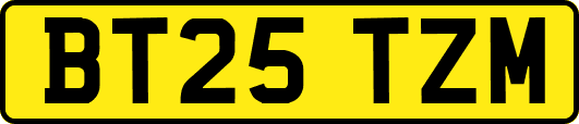 BT25TZM