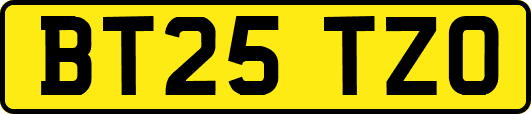 BT25TZO