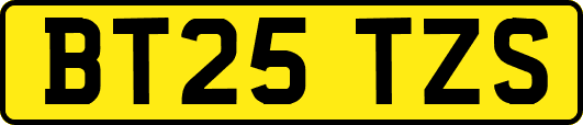 BT25TZS