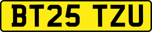 BT25TZU