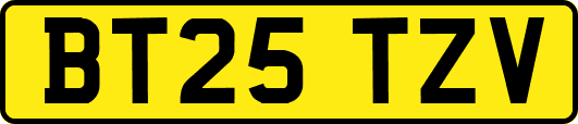 BT25TZV