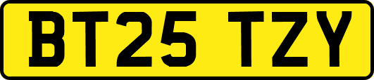 BT25TZY