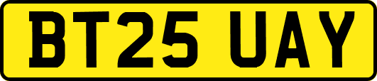 BT25UAY