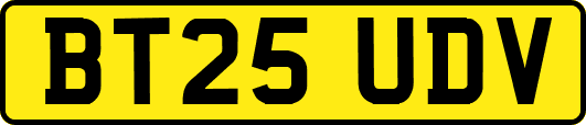 BT25UDV