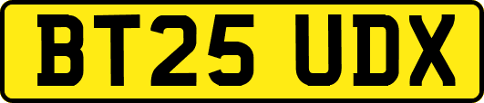 BT25UDX