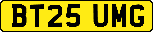 BT25UMG