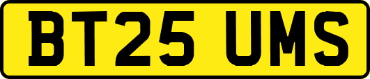 BT25UMS