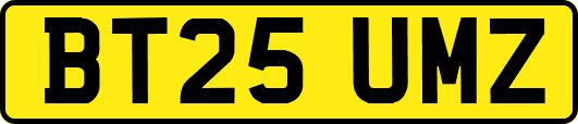 BT25UMZ