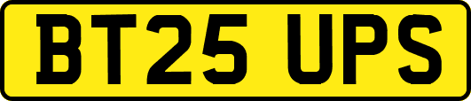 BT25UPS