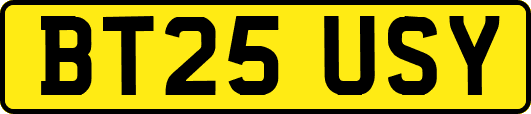 BT25USY