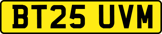 BT25UVM