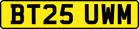 BT25UWM