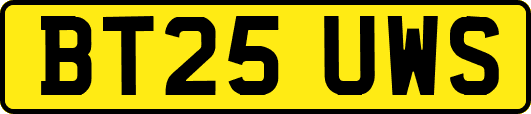 BT25UWS