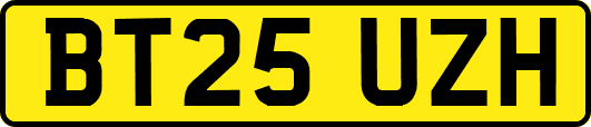 BT25UZH