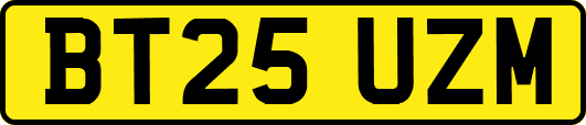 BT25UZM