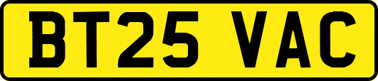 BT25VAC