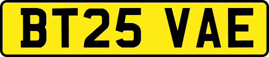 BT25VAE