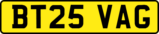 BT25VAG