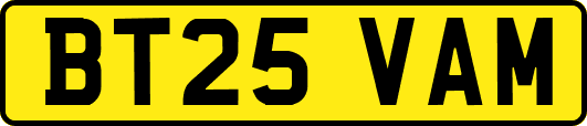 BT25VAM