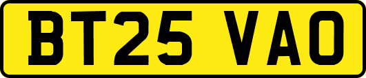 BT25VAO