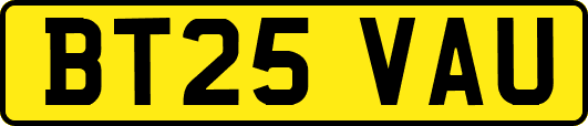 BT25VAU