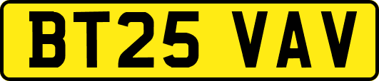 BT25VAV