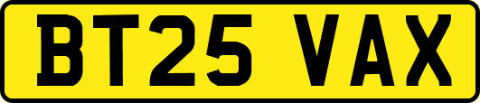 BT25VAX