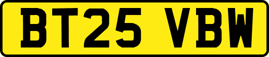 BT25VBW