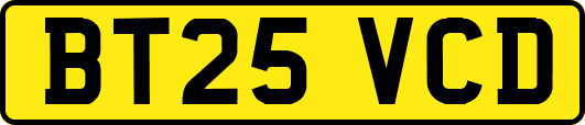 BT25VCD