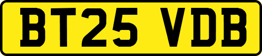 BT25VDB