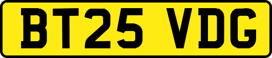 BT25VDG