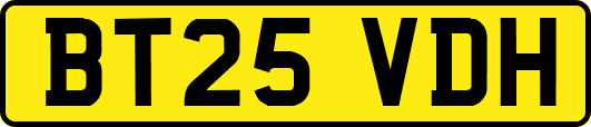 BT25VDH