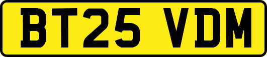 BT25VDM