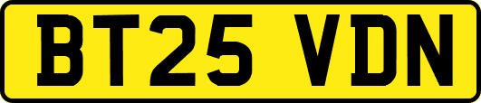 BT25VDN
