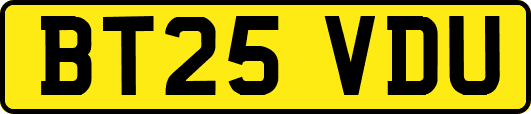 BT25VDU