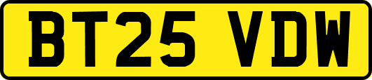 BT25VDW
