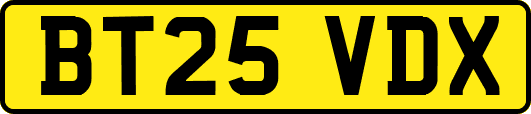 BT25VDX
