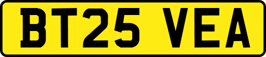 BT25VEA