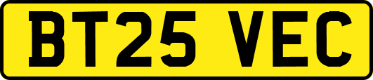 BT25VEC