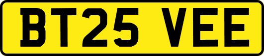 BT25VEE