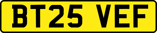 BT25VEF