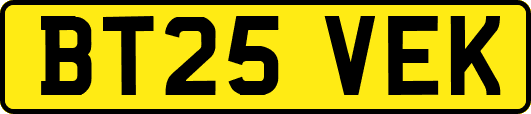 BT25VEK