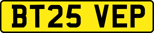 BT25VEP