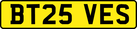 BT25VES