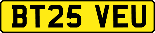 BT25VEU