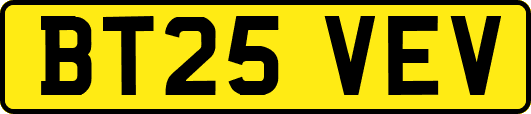 BT25VEV