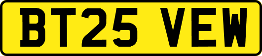 BT25VEW
