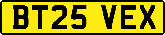 BT25VEX